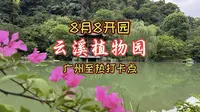 广州云溪植物园开园