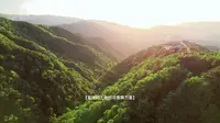 甘谷尖山寺