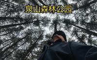 徒步丨爬山丨春天丨徐州丨泉山森林公园
