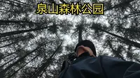 徒步丨爬山丨春天丨徐州丨泉山森林公园