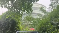 重庆南山一棵树景区观景平台