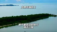 海舌公园体验实感
