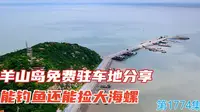 连云港羊山岛免费驻车地分享，能钓鱼还能捡到大海螺
