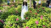 #自拍视频#郑州植物园#把生活拍成电影坐标郑州植物园，牡丹申请“出战”！花开富贵，每一朵都长在了我的心巴上。快@那个陪你赏花的人～