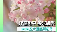 春风十里 天津等你丨2026五大道海棠花节如约而至！这里的每一幕，都是天津春天的明信片