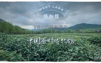 今日西湖推荐：中国茶叶博物馆是茶文化专题博物馆，位于杭州市龙井路双峰村。