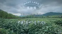 今日西湖推荐：中国茶叶博物馆是茶文化专题博物馆，位于杭州市龙井路双峰村。