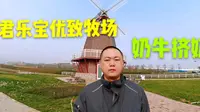 河北乳业领军企业，石家庄君乐宝，走进优致牧场，感受乳业文化!