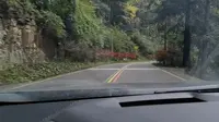 盐井河峡谷景区（出口方向）部分路段路线（四川省广元市旺苍县）