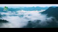 金山银山三百山！东江源三百山景区绝美MV