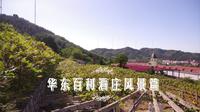 【探秘】青岛游客最少的4A风景区 华东百利酒庄