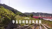【探秘】青岛游客最少的4A风景区 华东百利酒庄