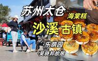 太仓沙溪古镇半日游！吃海棠糕，逛乐荫园~清明踏青来苏州丨自制提拉米苏做午餐