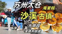太仓沙溪古镇半日游！吃海棠糕，逛乐荫园~清明踏青来苏州丨自制提拉米苏做午餐