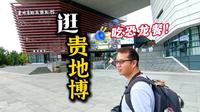 避暑胜地贵阳！暑假去逛贵州地质博物馆吃恐龙套餐