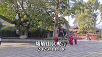峨眉山伏虎寺/从报国寺徒步至/午后阳光森林金光流水2023-11-19