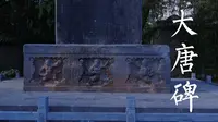 大疆无人机航拍 嵩阳书院 大唐碑 DJIMINI2