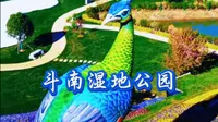 昆明浪漫新地标！斗南湿地巨型花孔雀+七彩梯田云南旅游春城昆明，滇池之滨，斗南湿地藏着一场鲜花编织的浪漫盛宴。春城机长带你解锁新晋花海秘境，巨型花孔雀