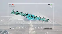 精拍精修，成都空港花田拍飞机