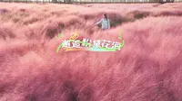 快来临沭蛟龙航空主题乐园，留下一段粉红色的回忆吧！
