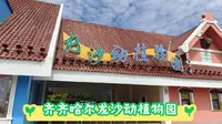 黑龙江省齐齐哈尔市 龙沙动植物园 闲逛