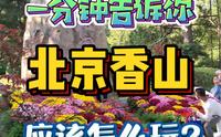 一分钟告诉你！北京香山公园应该怎么玩？