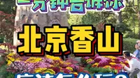 一分钟告诉你！北京香山公园应该怎么玩？
