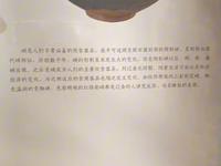 滨州市博物馆