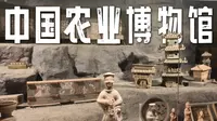 中国农业博物馆太宝藏！从万年彩陶到明清丝织，从西周青铜到元代陶俑，还有御窑瓷器重磅特展