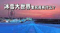沉浸式云游冰雪大世界，看完又赚298块！