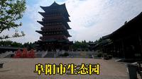 参观阜阳市生态园，市内唯一的4a景区，集休闲娱乐教育于一体