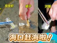 海口本地人带路，第一次赶海就爆桶啦