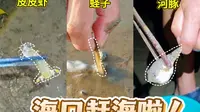 海口本地人带路，第一次赶海就爆桶啦