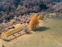 兰州吐鲁沟国家森林公园航拍
