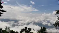 乡村振兴，茨竹坝云海，竹境云屋观赏处，云南文山州麻栗坡县周边游。