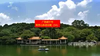 广西南宁市青秀山旅游区踩坑，避雷，省钱注意事项旅游攻略