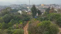 航拍桂林园林植物园