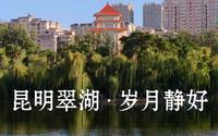 “还记得笑猫日记里的翠湖吗？”【昆明翠湖•岁月静好】