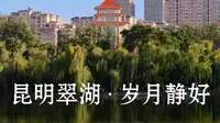 “还记得笑猫日记里的翠湖吗？”【昆明翠湖•岁月静好】