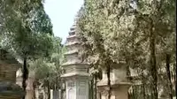 河南嵩山少林寺塔林   第三部分精彩解说