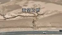 阿里大环线景点之天空之树