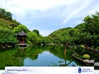 广州云溪植物园。