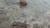 北海涠洲岛鳄鱼山火山口国家地质公园