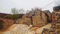 山东济南柳埠石匣村赏花风景美！古村石屋老宅有特色！这里熟悉吗