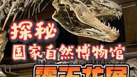跟我去国家自然博物馆看霸王龙！