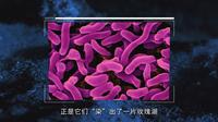 藏在沙漠中的红色湖泊，被称“地球之心”，乌兰湖为何是红色的？