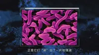藏在沙漠中的红色湖泊，被称“地球之心”，乌兰湖为何是红色的？
