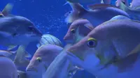 【寿光极地海洋世界】更新了一条视频，快来围观！
