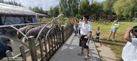 吉林省白城市大安市嫩江湾