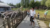 吉林省白城市大安市嫩江湾